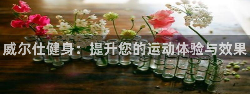 意昂2官方网站