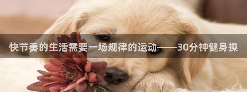 意昂2招商