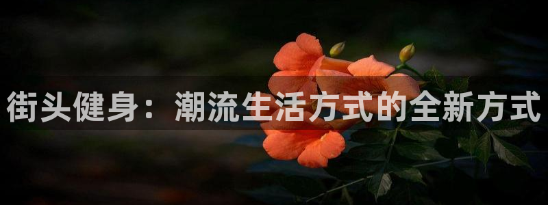 意昂2招商
